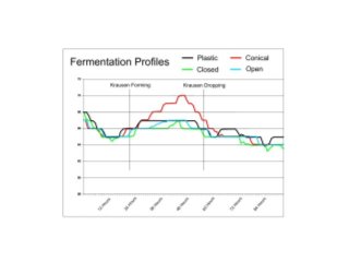 Temperature Profiles of Fermentations